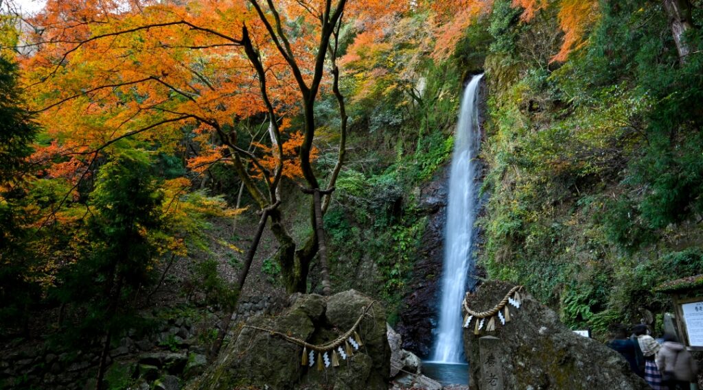 養老の滝